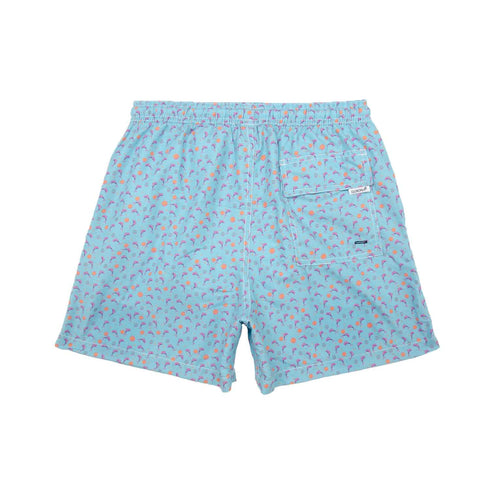 DELFIN CELESTE NIÑO