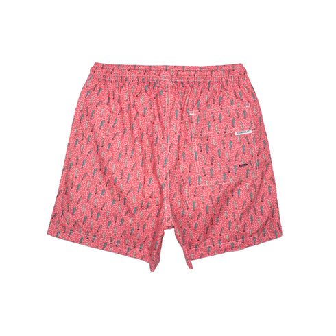 CABALLO DE MAR CORAL