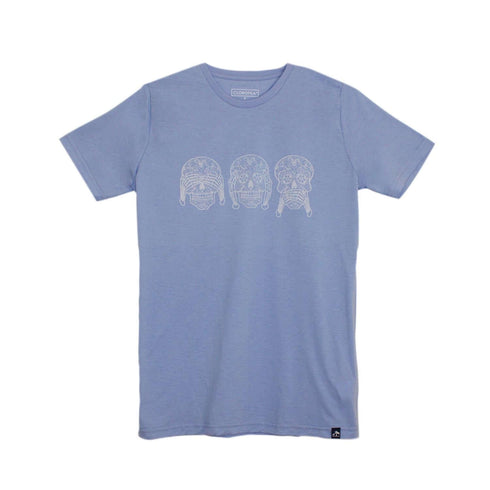 CATRINAS INTELIGENTES