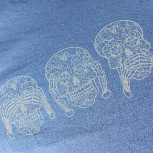 CATRINAS INTELIGENTES