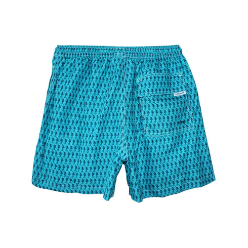 CABALLITO DE MAR JADE NIÑO