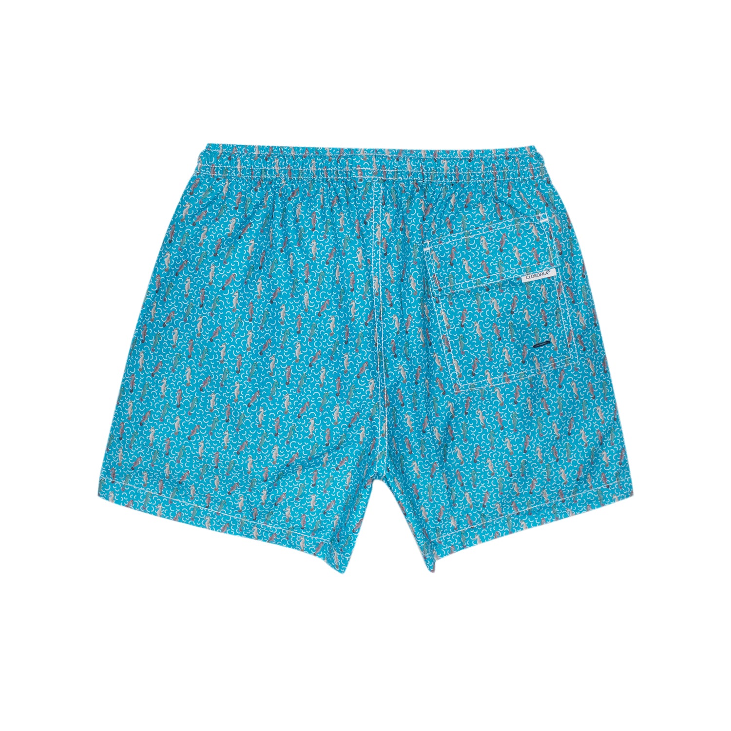 Traje de Baño Hombre | Seahorse Blue