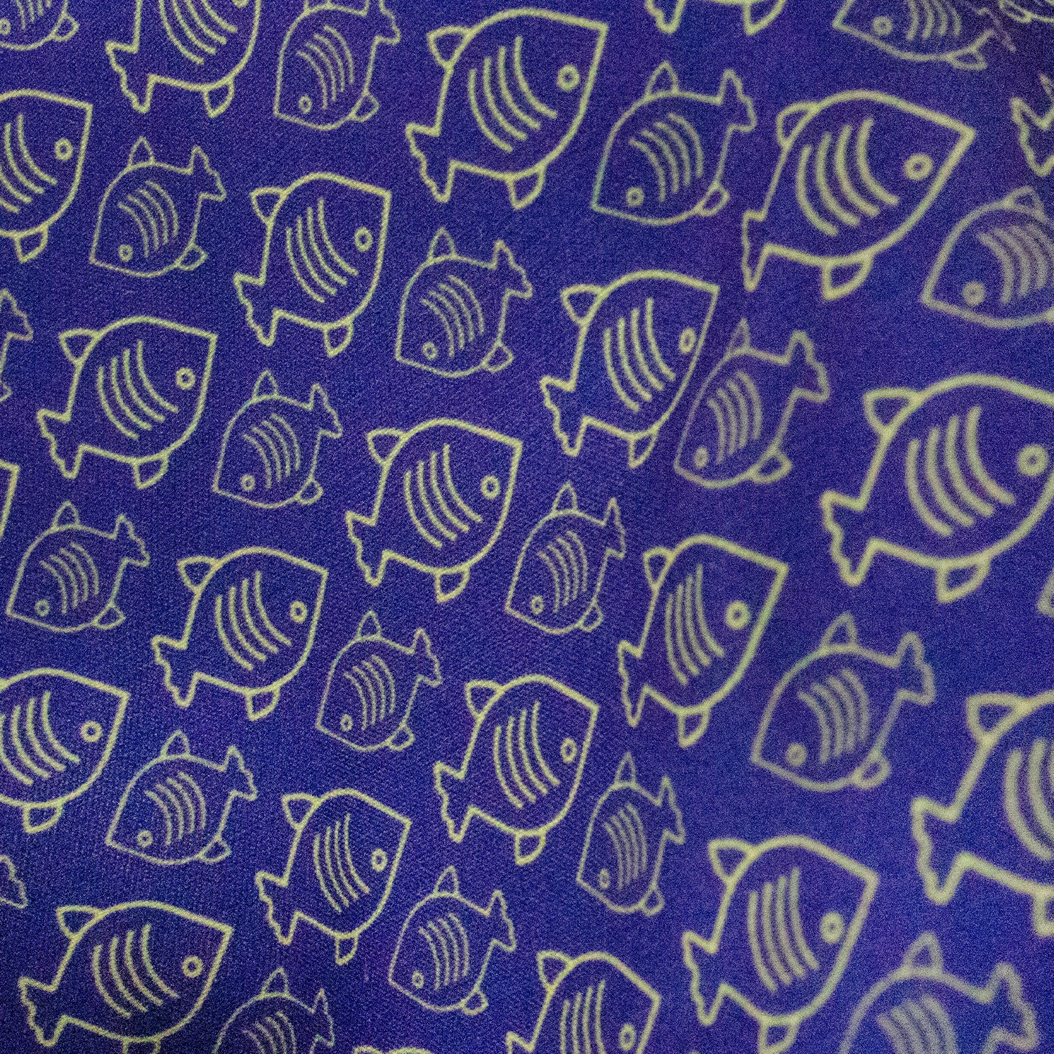 Traje de Baño Hombre | Snapper Purple