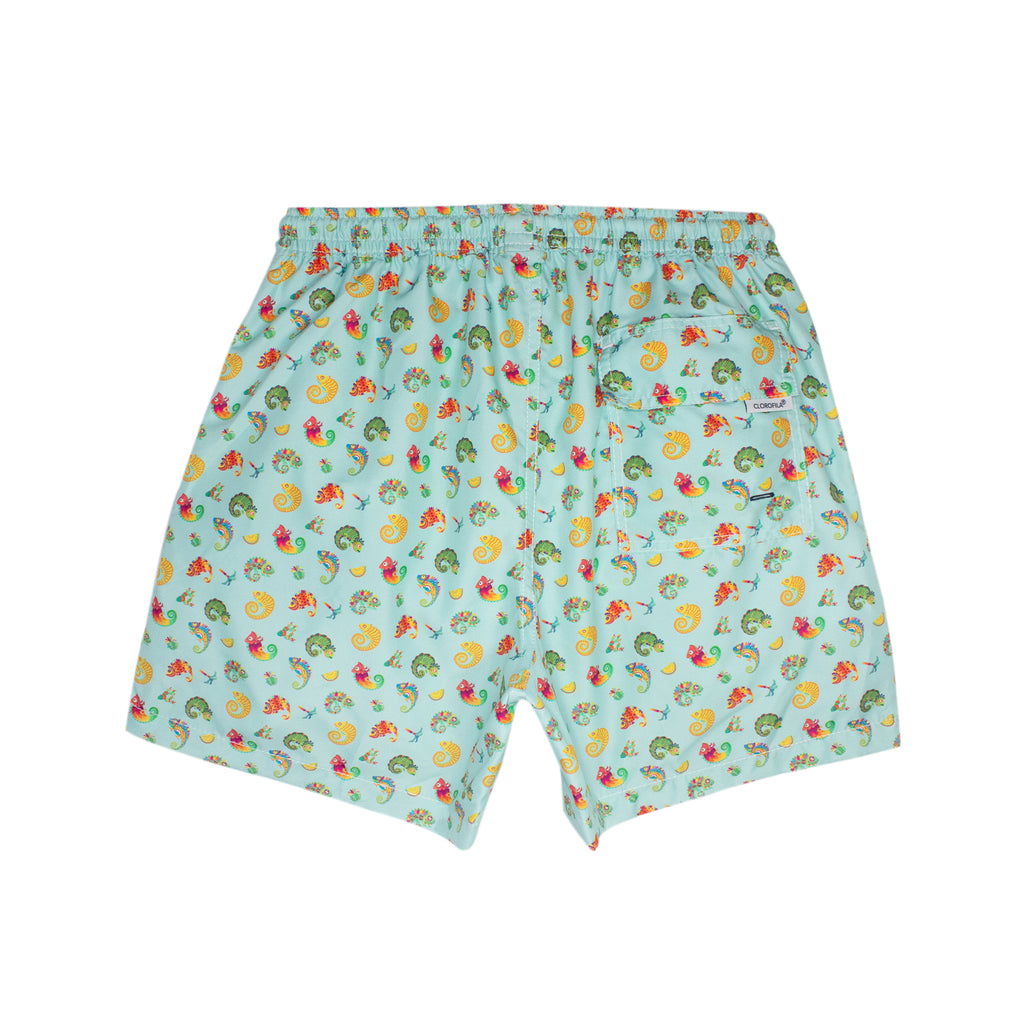 Traje de Baño Hombre | Chameleon Aqua