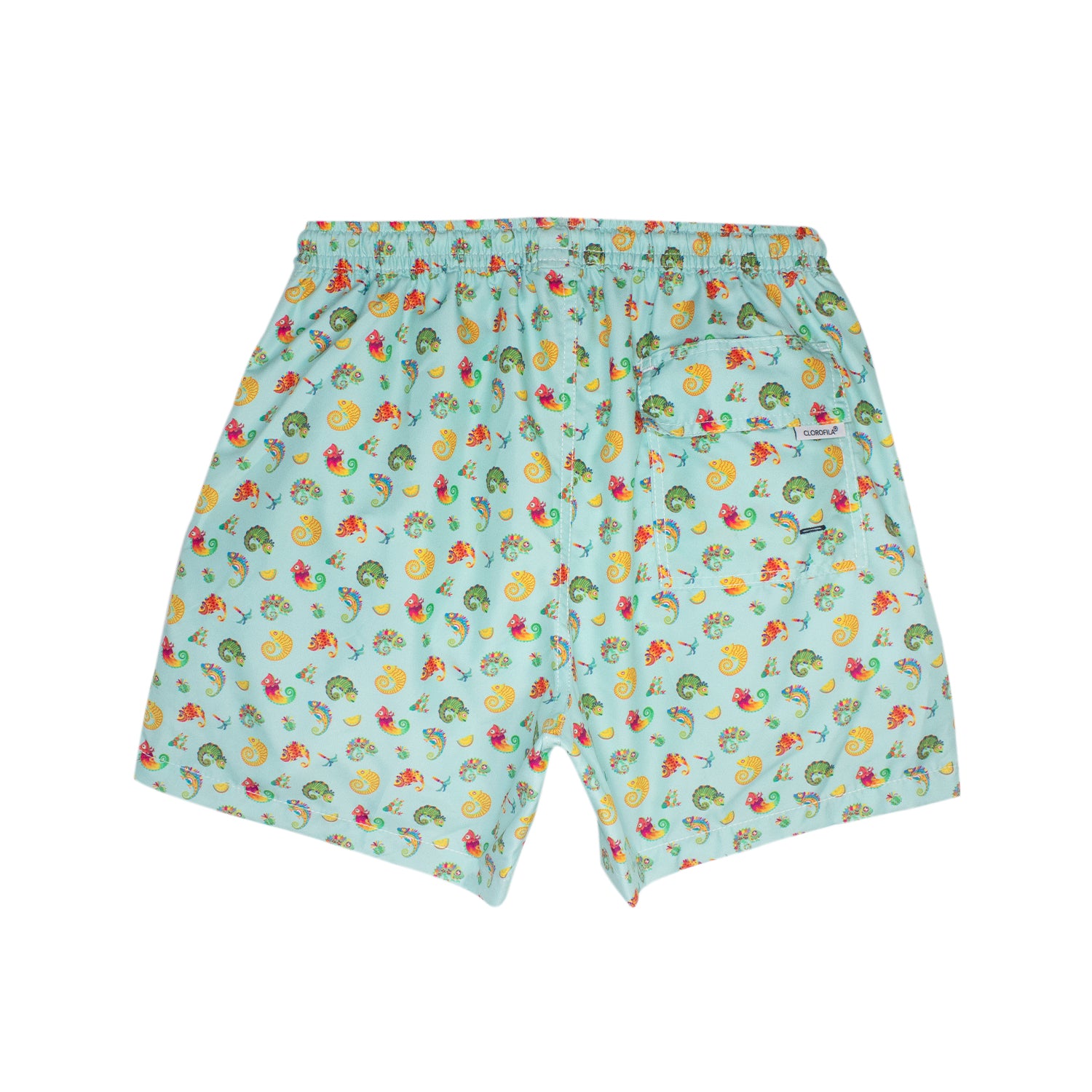 Traje de Baño Hombre | Chameleon Aqua