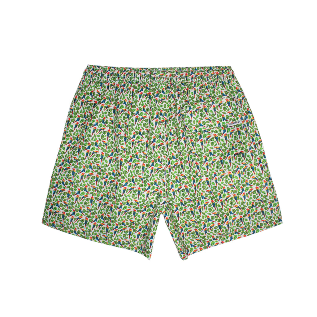 Traje de Baño Hombre | Macaw White