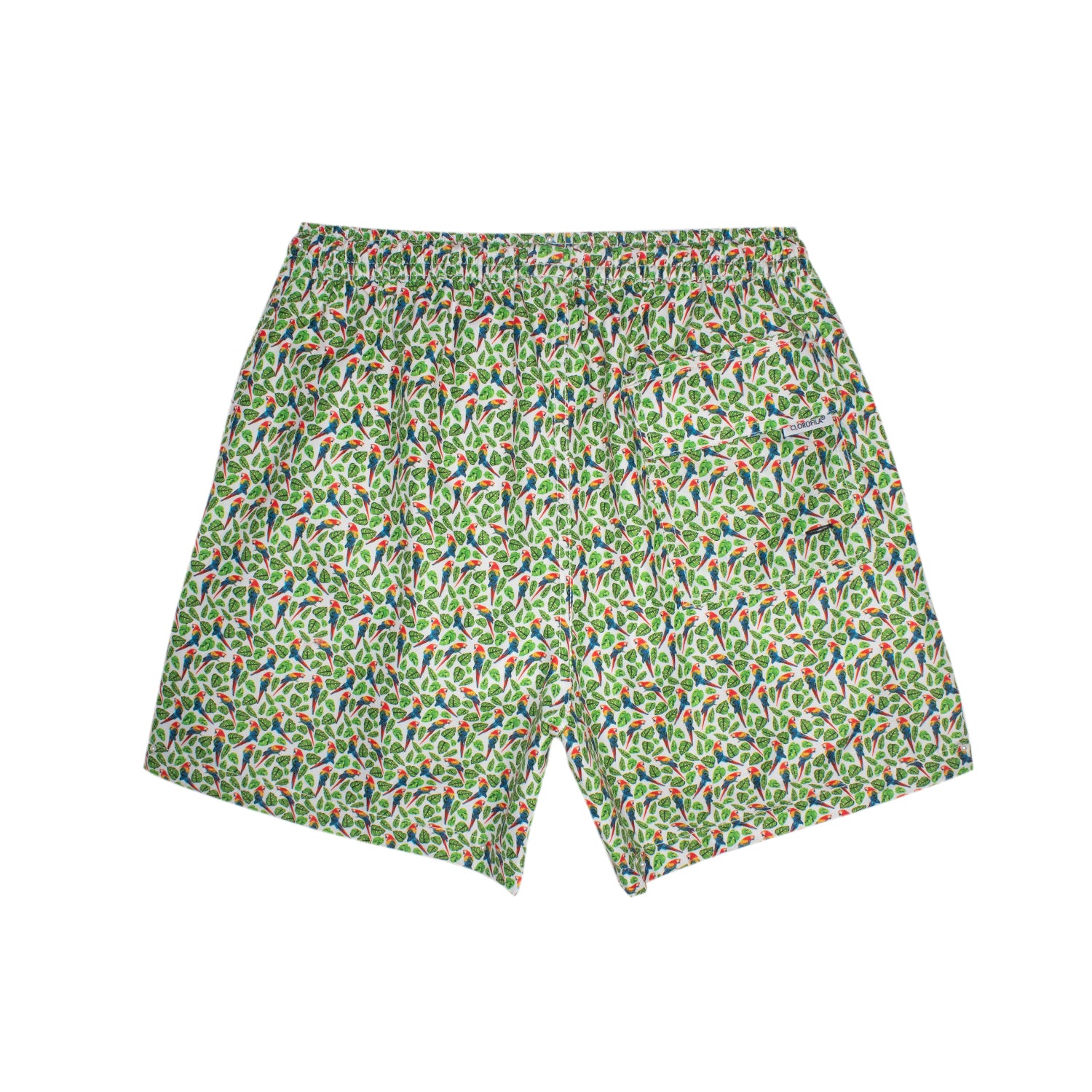 Traje de Baño Hombre | Macaw White