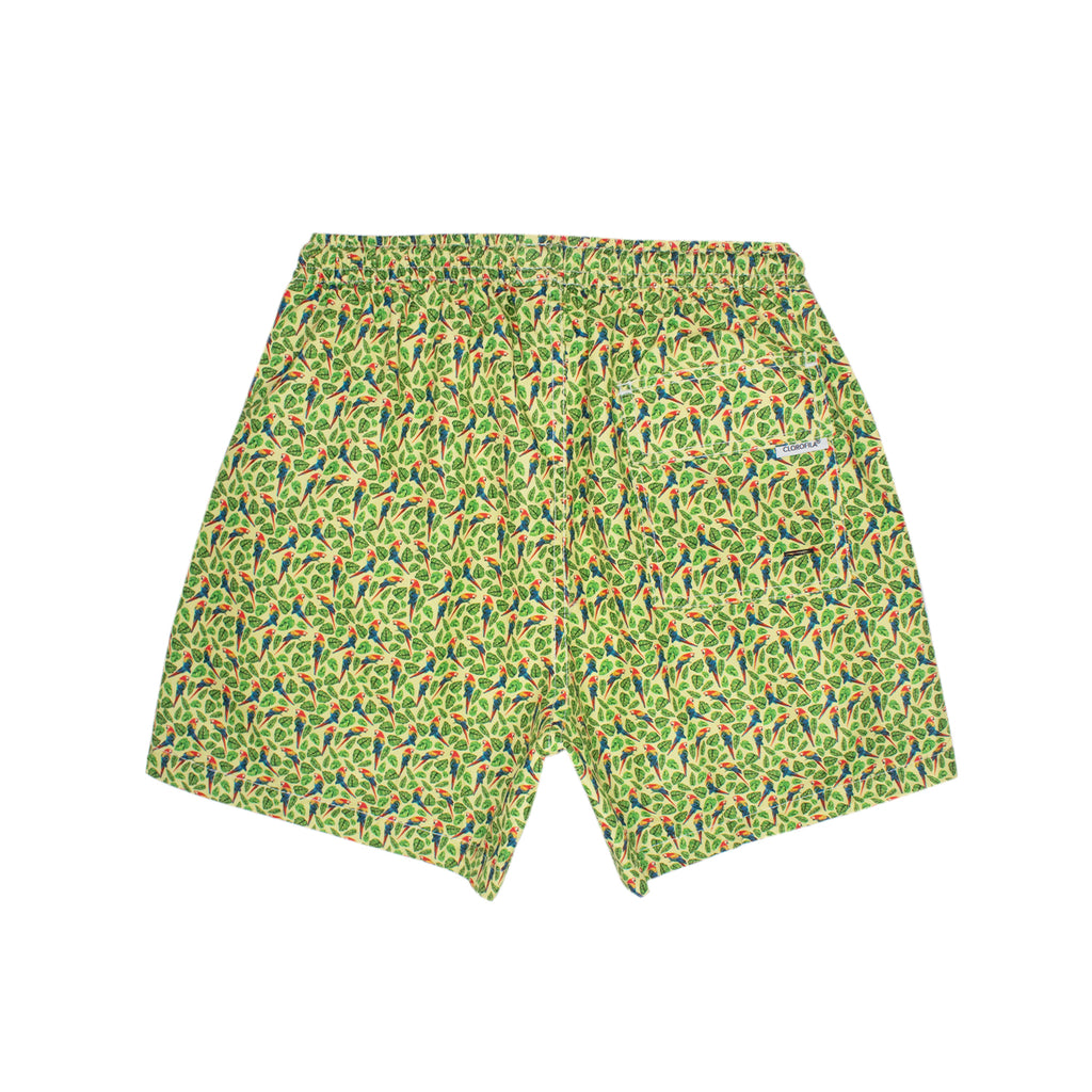 Traje de Baño Hombre | Macaw Yellow