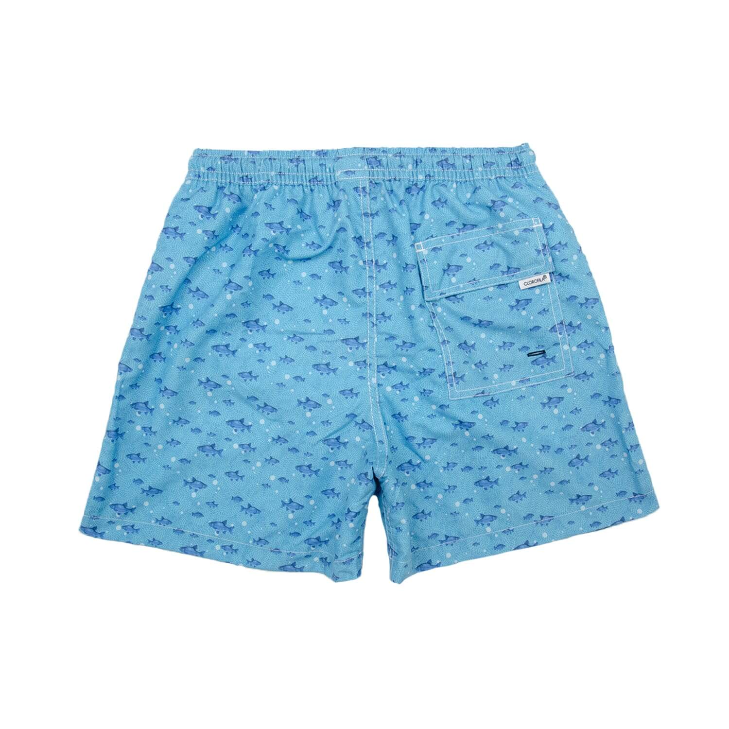 FISH BUBBLES BLUE - Clorofila Sea Wear
