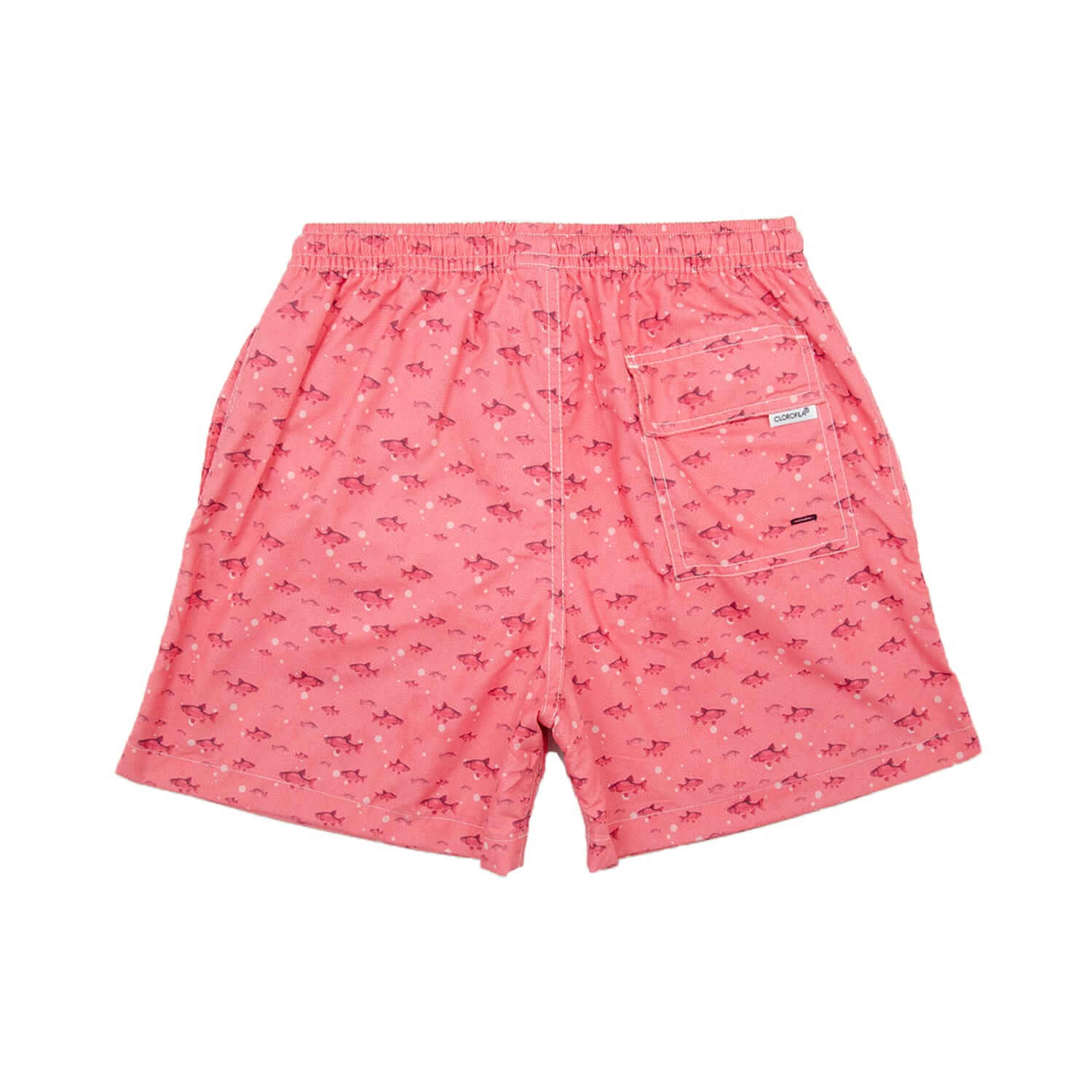 FISH BUBBLES CORAL - Clorofila Sea Wear