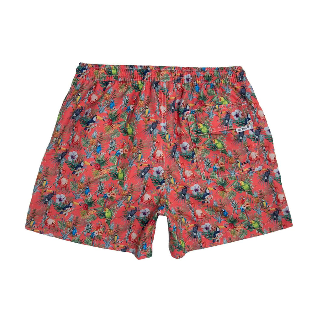 TROPICAL ORANGE - Clorofila Sea Wear