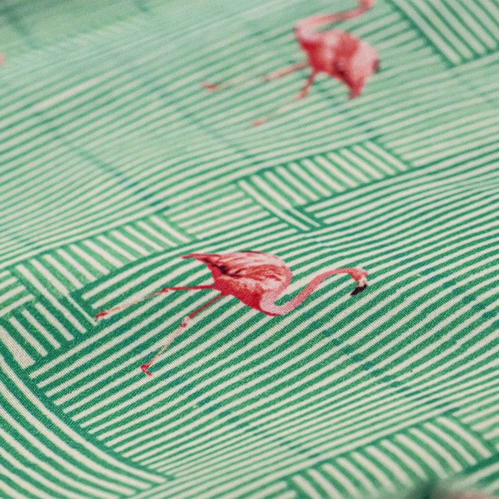 FLAMINGO LIGHT GREEN - Clorofila Sea Wear