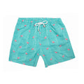 FLAMINGO LIGHT GREEN - Clorofila Sea Wear