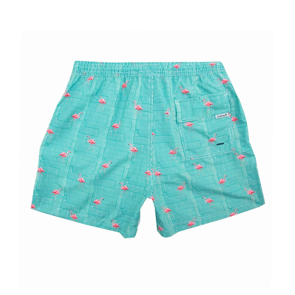 FLAMINGO LIGHT GREEN - Clorofila Sea Wear
