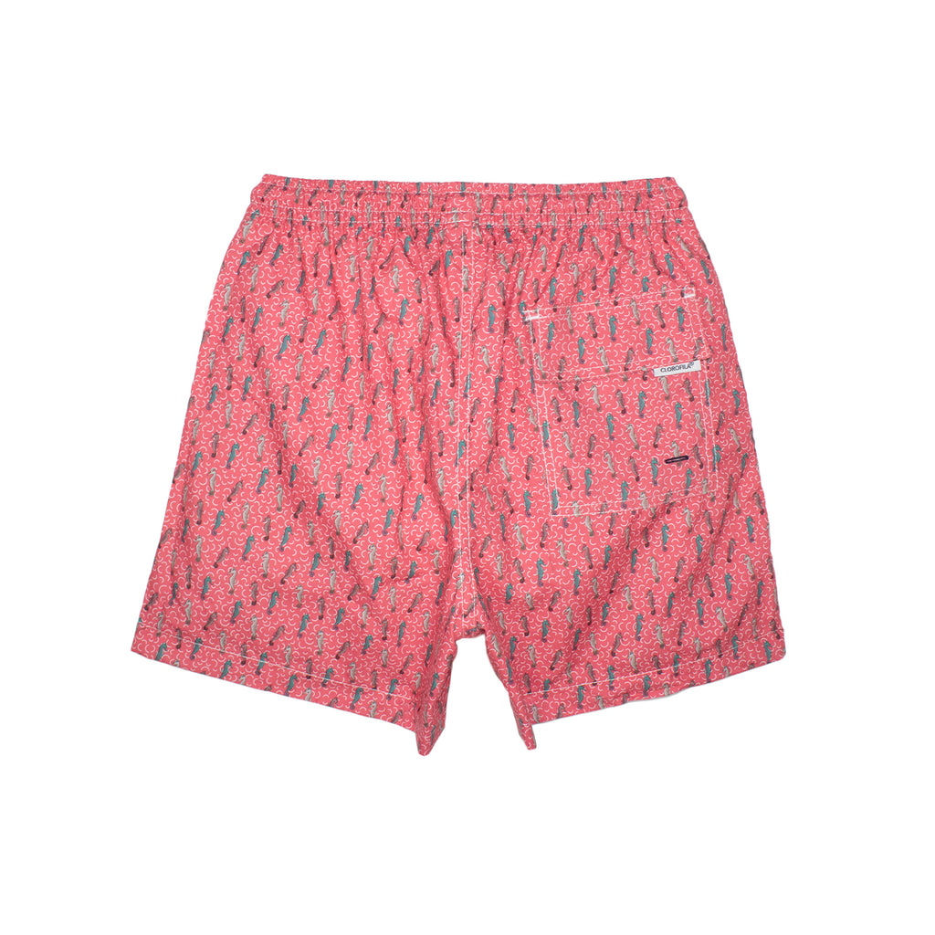 Traje de Baño Hombre | Seahorse Coral