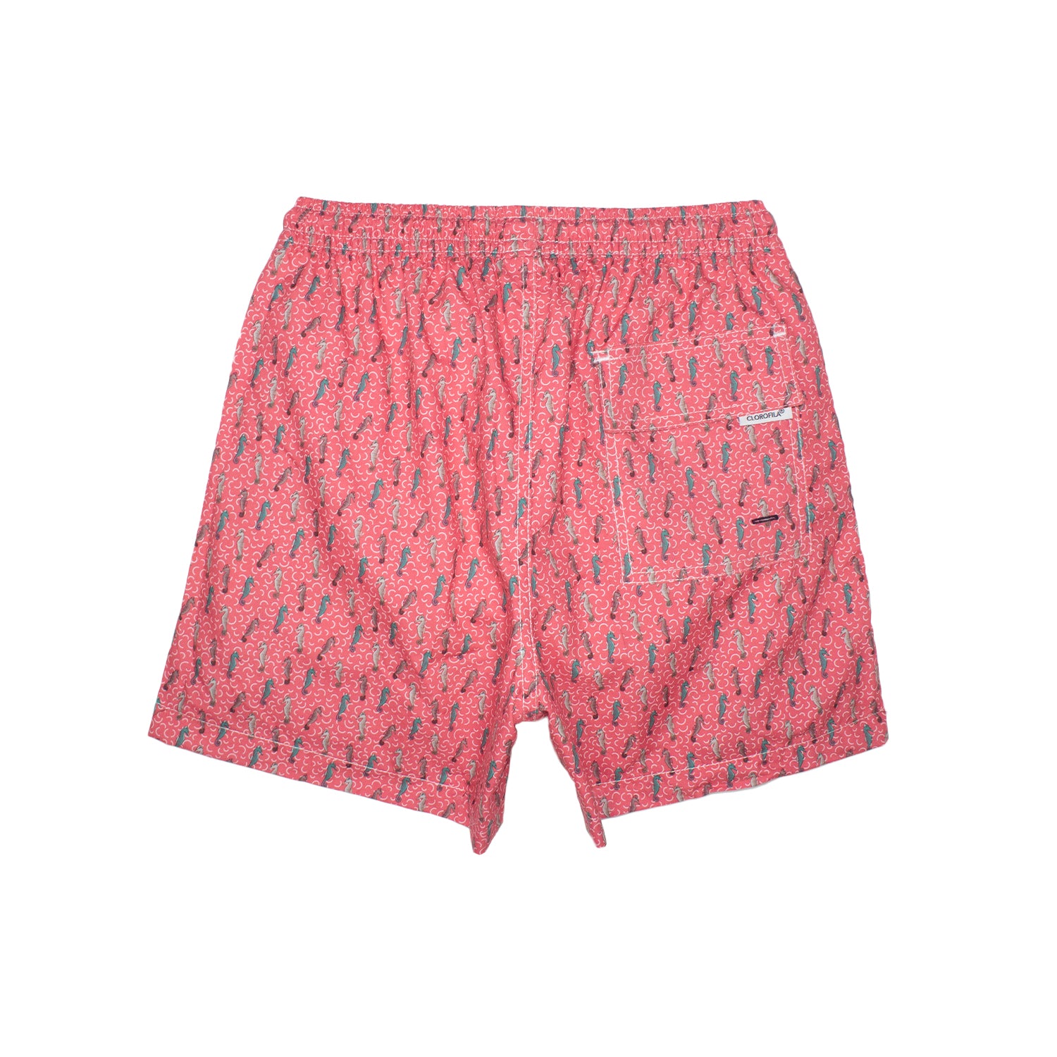 Traje de Baño Hombre | Seahorse Coral