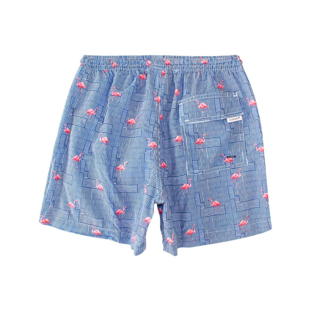 Traje de Baño Hombre | Flamingo Blue