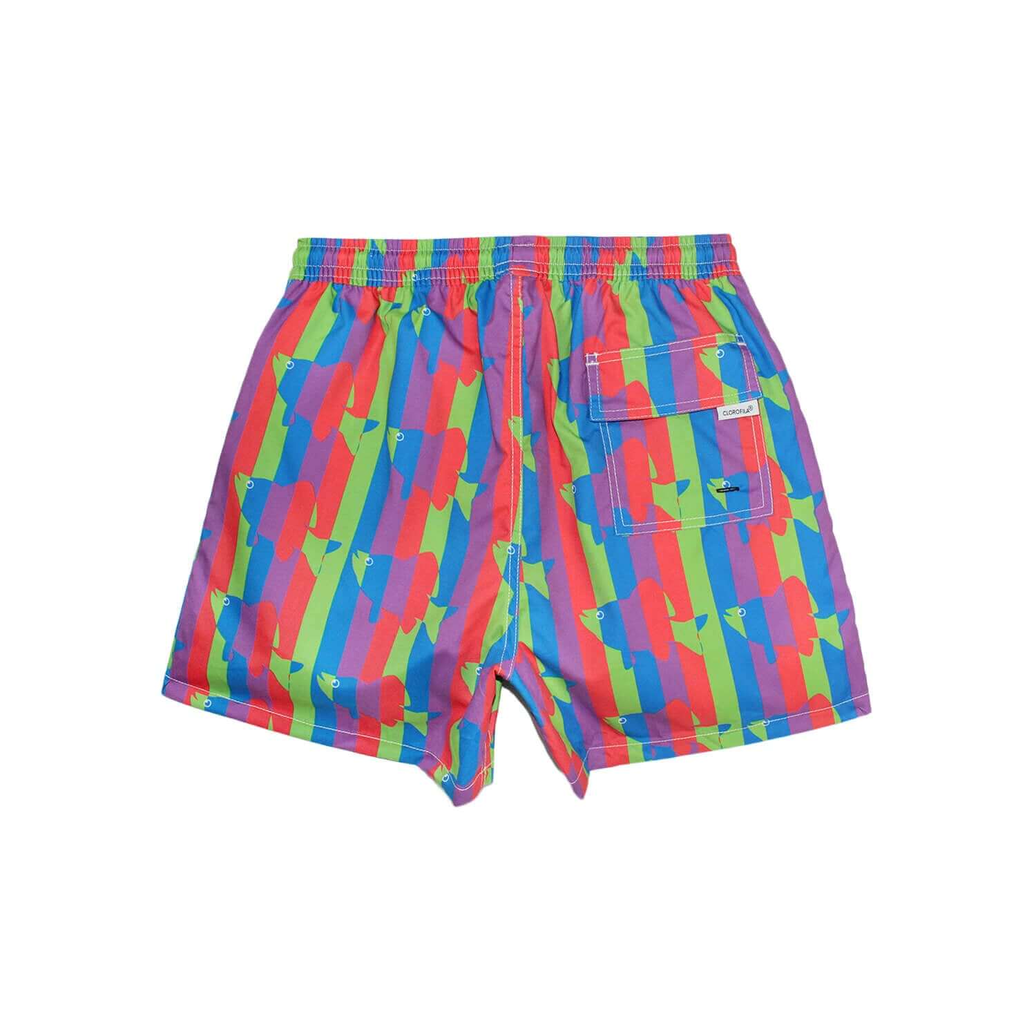 Traje de Baño Hombre | Fish Stripes Green