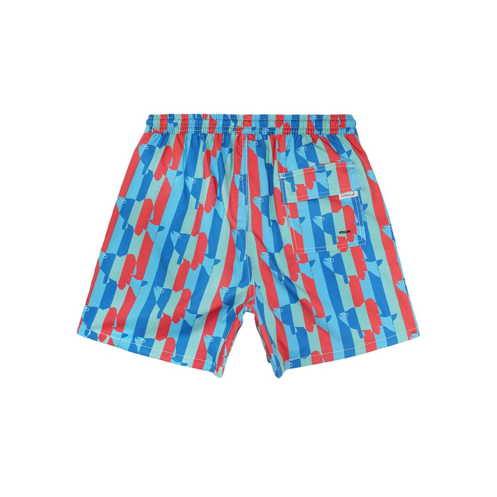 Traje de Baño Niño Fish Stripes